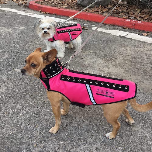 Coyote deterrent sales vest for dogs